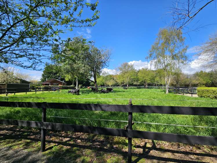 80 Avenue North Road Levin_5