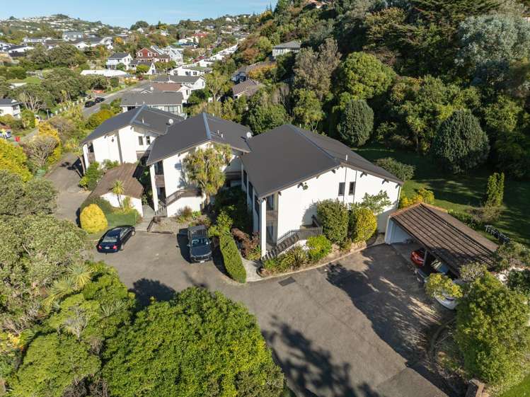 141k Churton Drive Churton Park_15