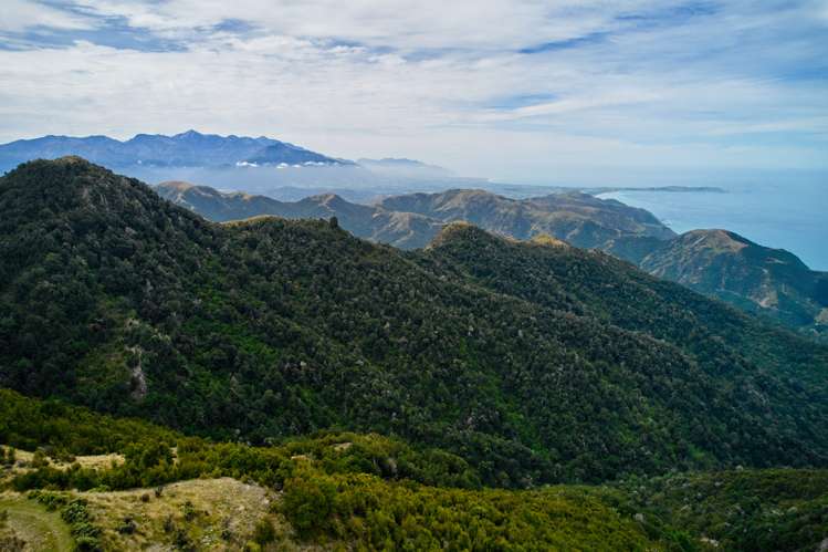 20 Moana Road Kaikoura_29