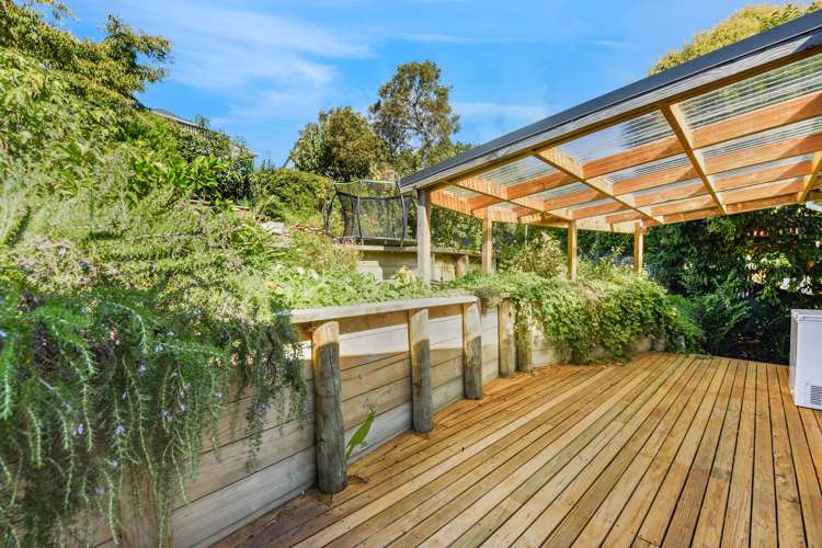 14 Orsman Crescent Toi Toi_19