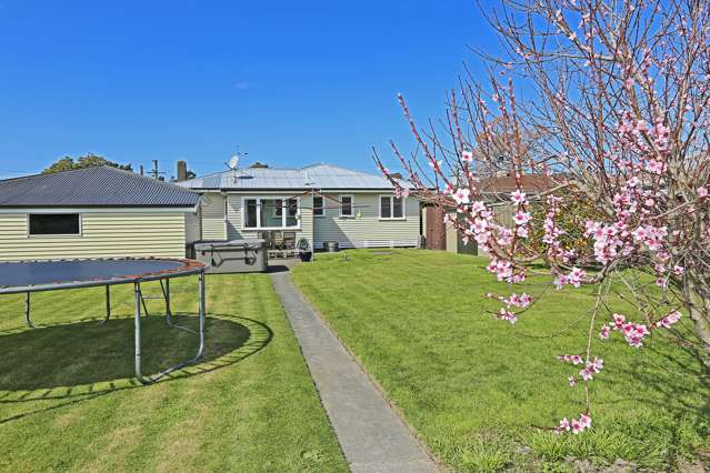 53 Napier Street Jervoistown_3