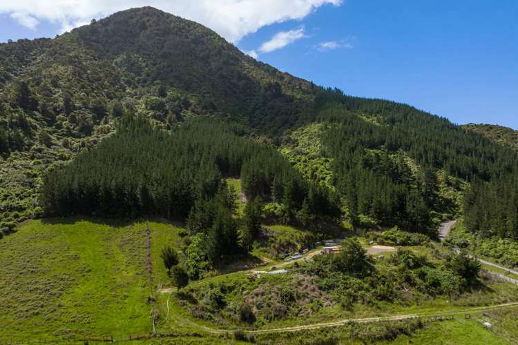 304 State Highway 1 Anakiwa and Surrounds_22