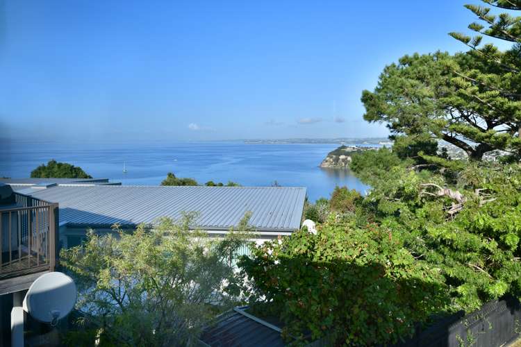 25 Roberts Road Matakatia_23