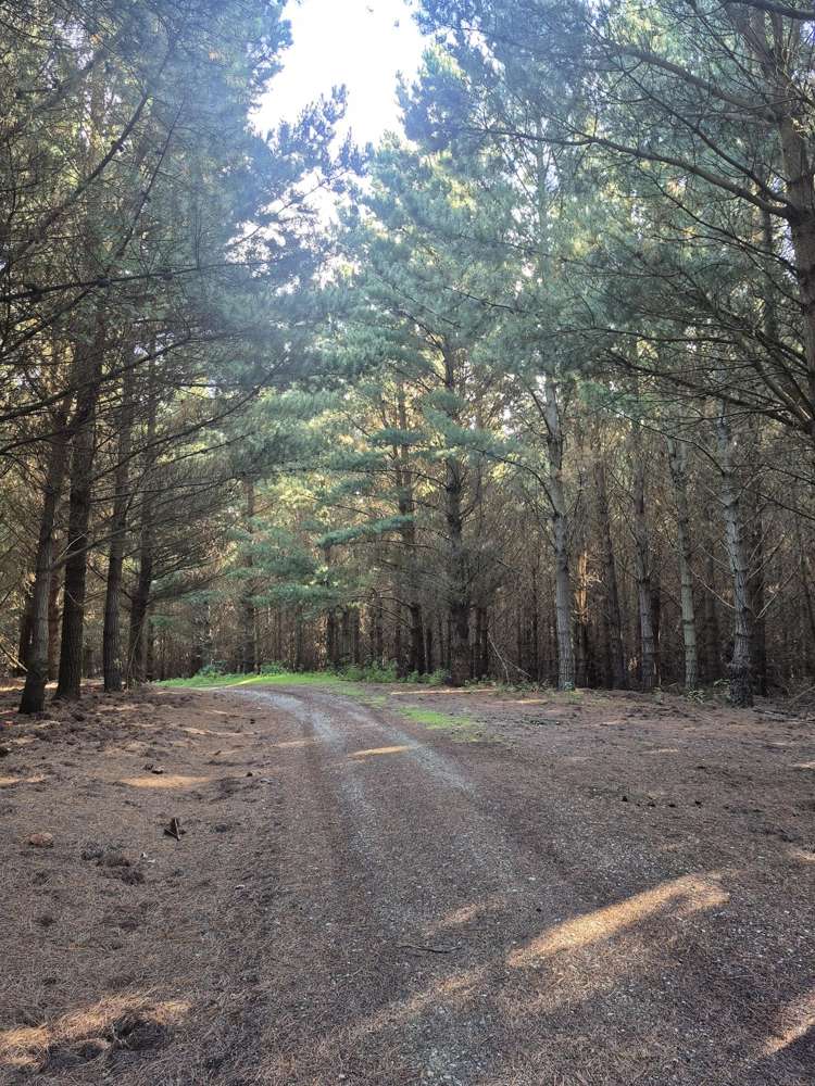 4894 Hampden-Palmerston Road Palmerston_45