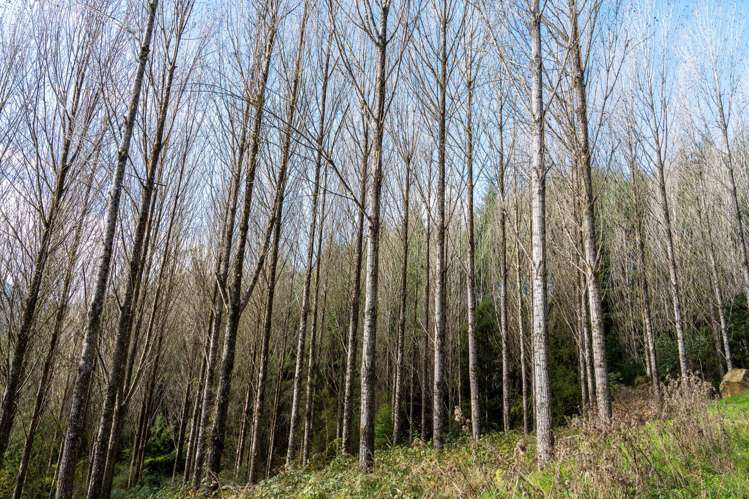 Four Rivers Highway Murchison_22