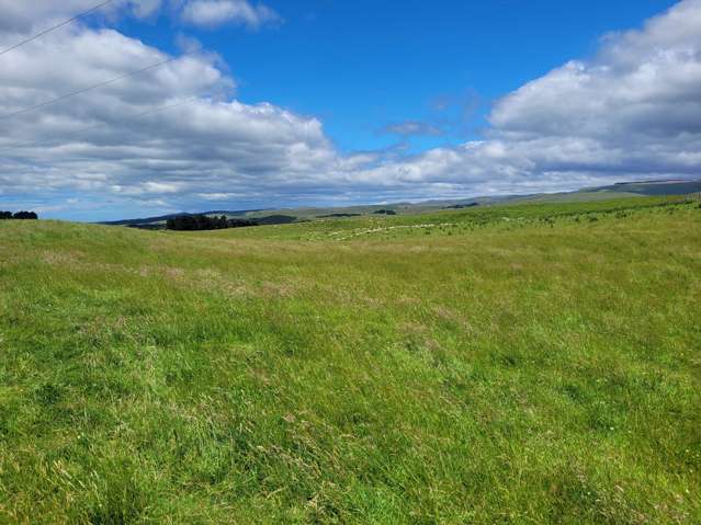 72 Wrights Road Waitaki_4