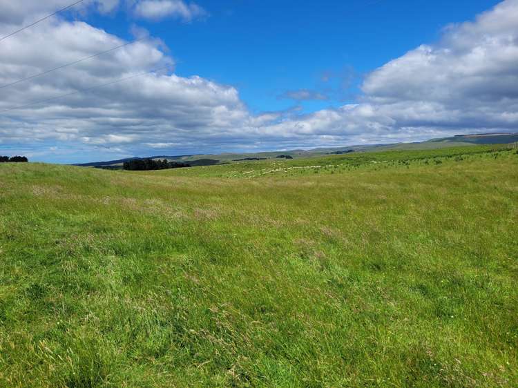 72 Wrights Road Waitaki_4