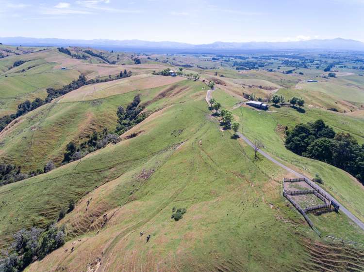 320 Waiti Road Tahuna_9