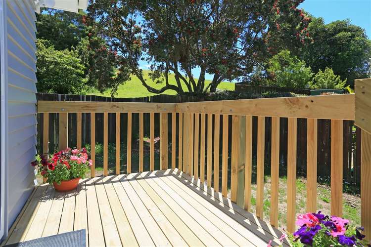 62 Spence Road Henderson_27