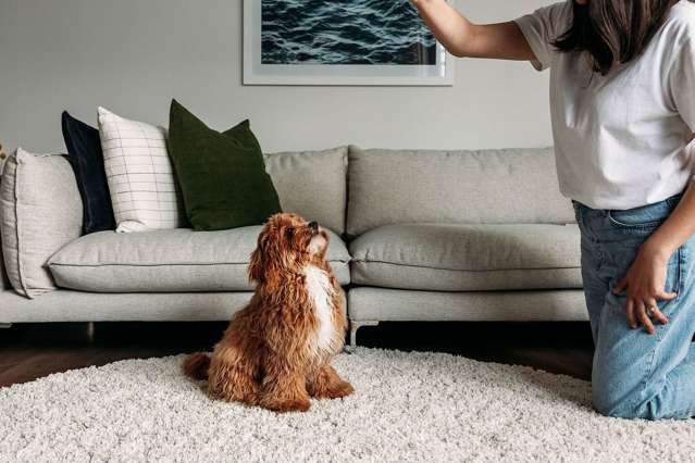 312/135 Victoria Street Te Aro_1