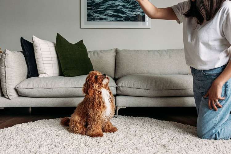 312/135 Victoria Street Te Aro_1