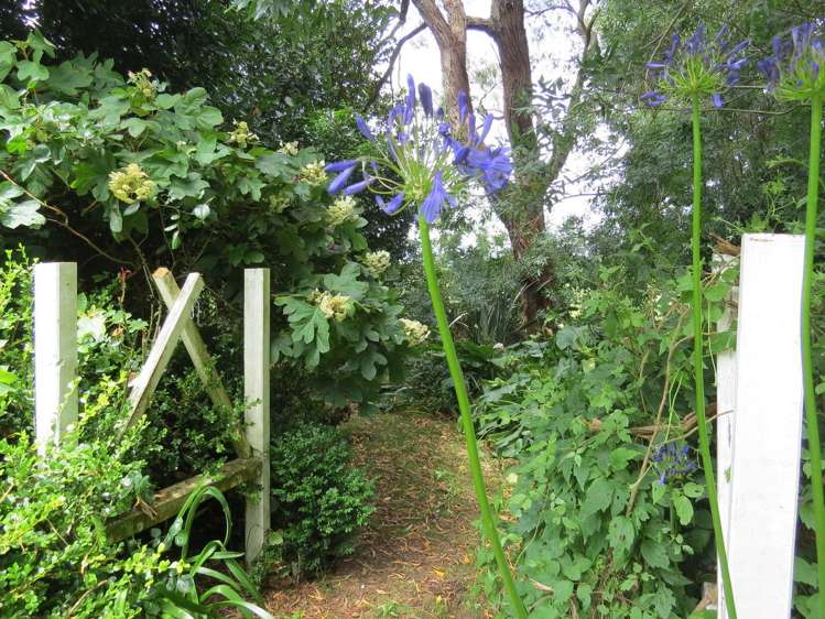 1/195 Chamberlain Road Te Awamutu_20