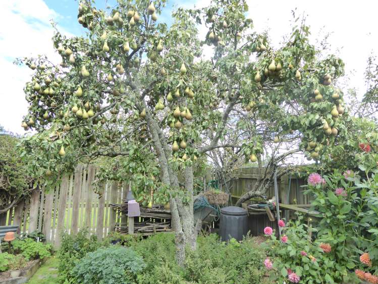 31 South Belt Methven_18