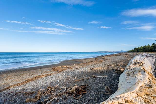 Living at Rarangi Beach