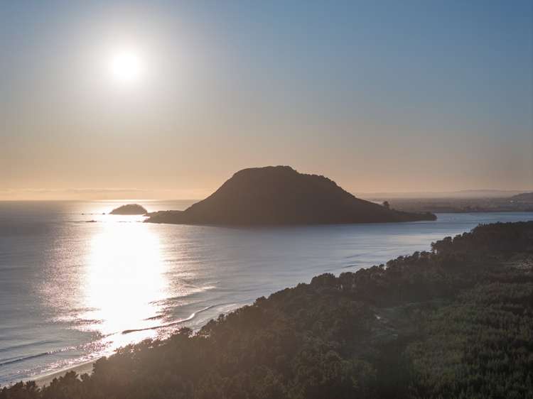 205 Matakana Island, 148 HA Matakana Island_12