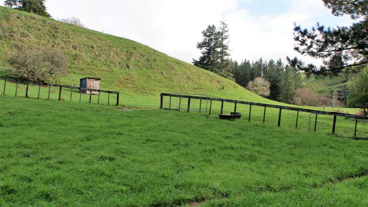 4501 State Highway 4 Waimiha-Ongarue_20