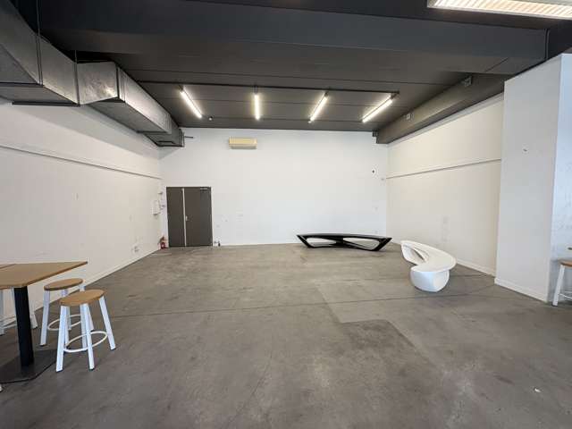 3/100 Beaumont Street Auckland Central_2