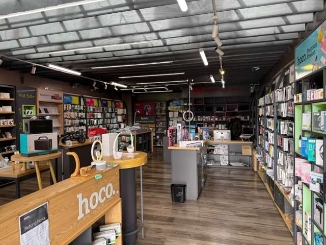 4 Williamson Avenue Grey Lynn_2