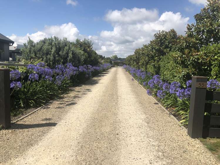 55 Mcelwee Street Jervoistown_17