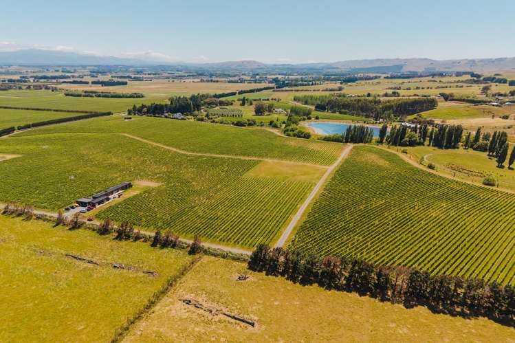 Lot 3 Willow Lane Martinborough_6