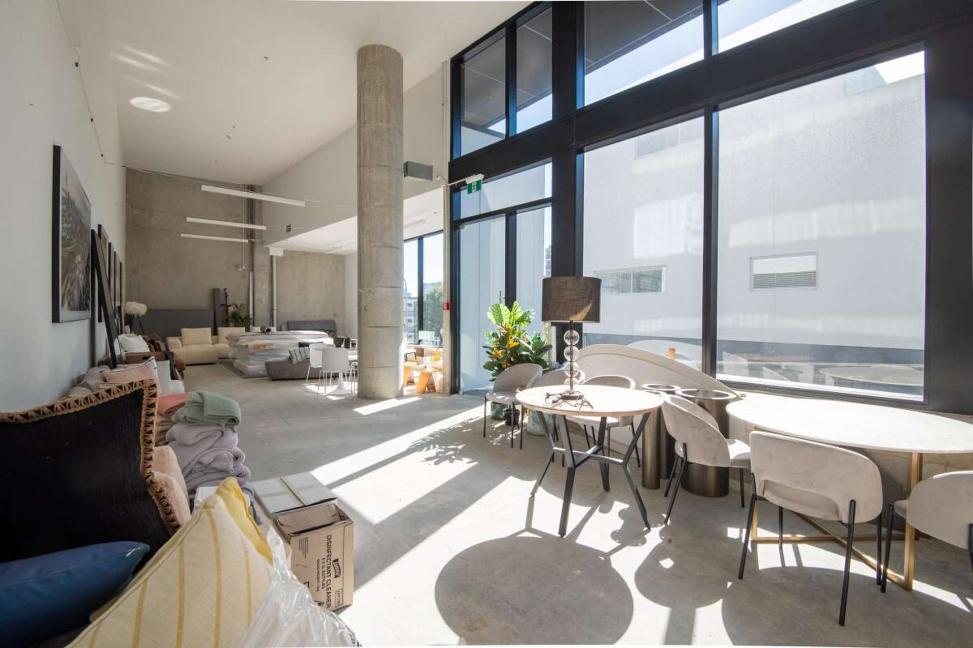 45 Randolph Street Eden Terrace_0