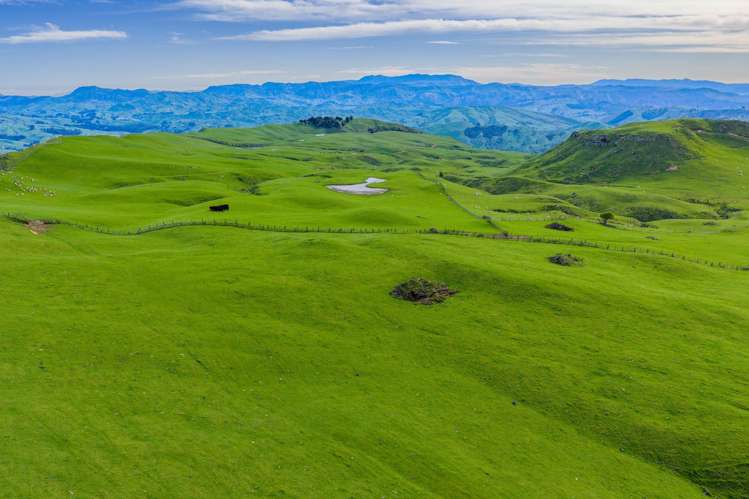 439 Rakauroa Road Matawai_18