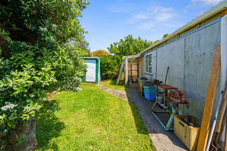 17 Collins Street Petone_10