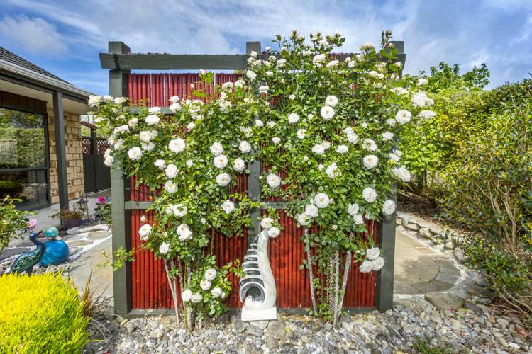 11a Ormrod Grove Riverstone Terraces_15