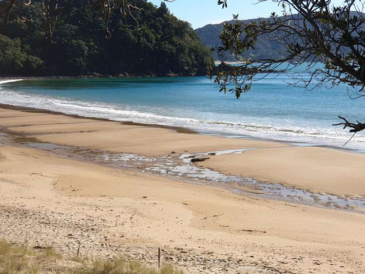 21 Kayes Crescent - Little Bay Coromandel Waikawau_15