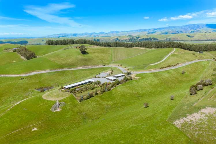 421 Delta Lake Heights Renwick_24