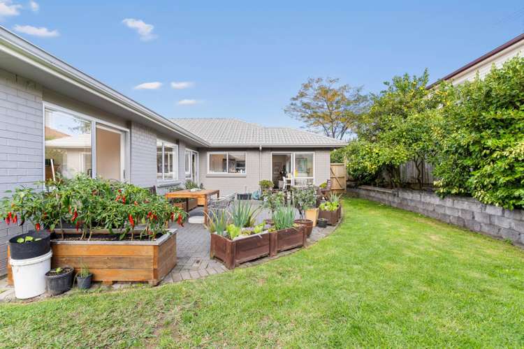 5 Kalmore Place Flat Bush_22