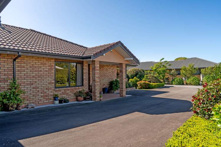 114b West Street Greytown_11