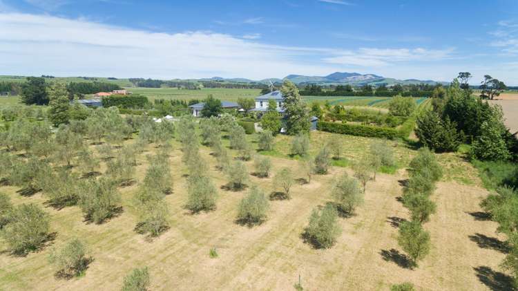 142 Dublin Street Martinborough_24