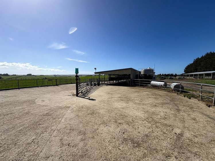 539. Mataura Island Fortrose Road Pine Bush_17