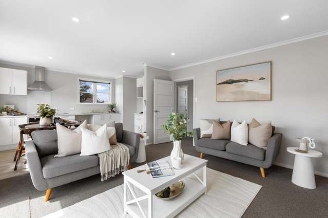 3 Lincoln Street Morrinsville_1