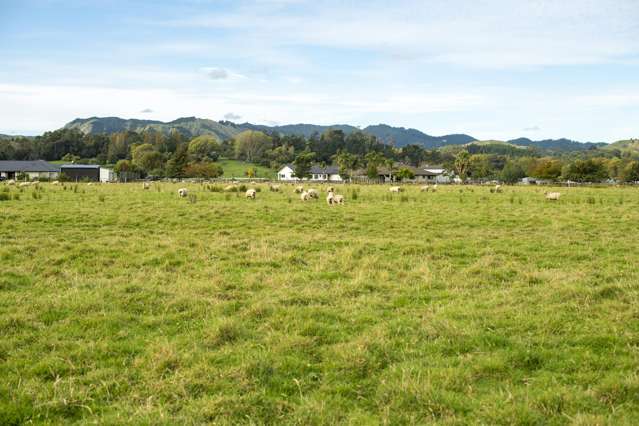 Haisman Road Makauri_4