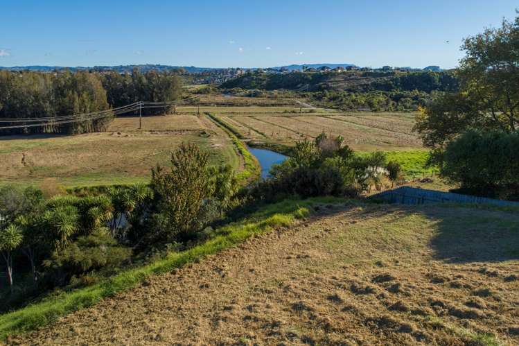 110 Sereno Vista Bellevue_9