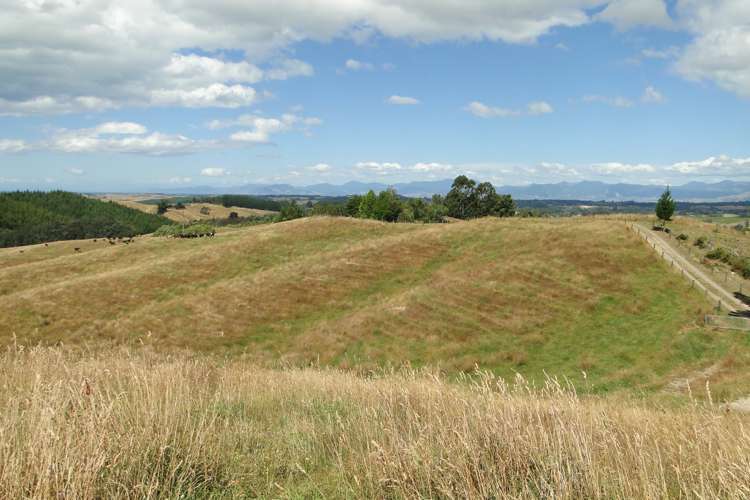 374 Rosedale Road Upper Moutere_16