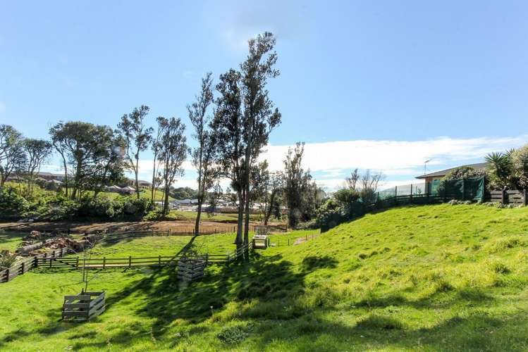 61c Karamea Street Whalers Gate_13