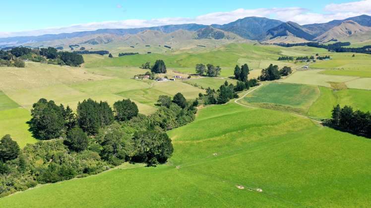 412 France Road Matamau_28