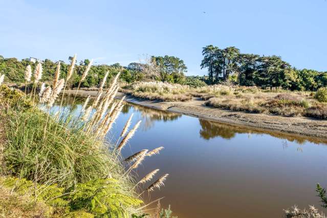 65 State Highway 3 Urenui_1