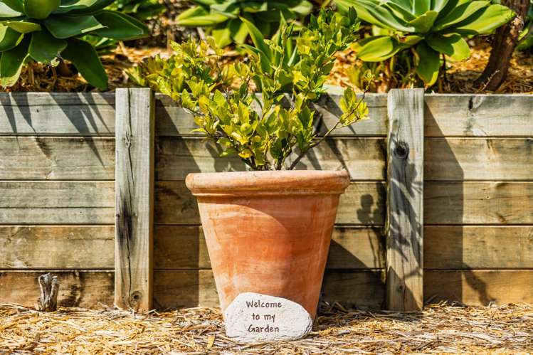 86 Kotuku Road Kerikeri_13