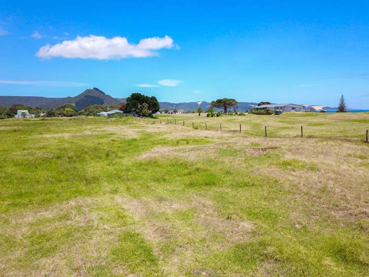 Takahe Street Masterton_18