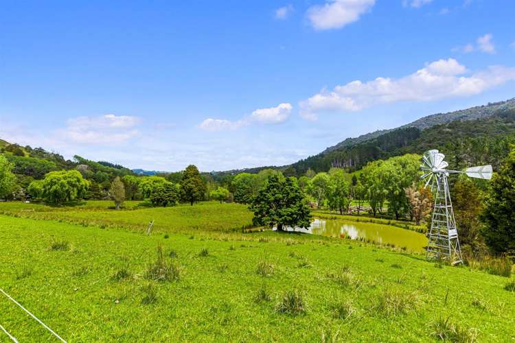 272 Omaha Valley Road Big Omaha_17