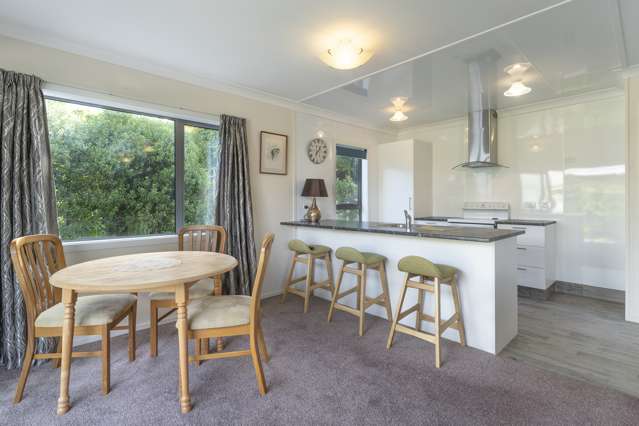 33a Killarney Street Alexandra_2