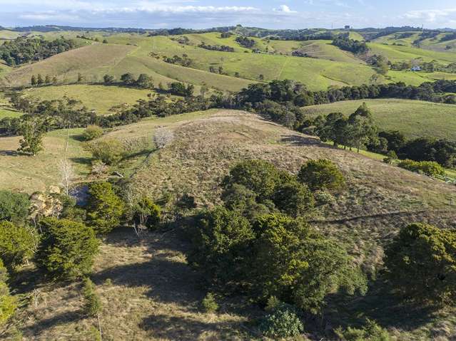 234 Anderson Road Helensville_3