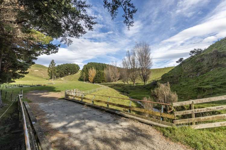 467 Waitahora Valley Road Dannevirke_10