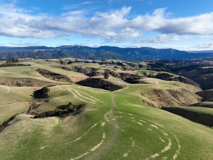 168 Remarkable Road Lawrence_5