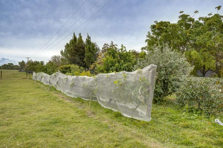 Lot 2, DP 327947, Miller Road Havelock North_12