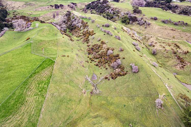 256 No 2 Line Okoia_23